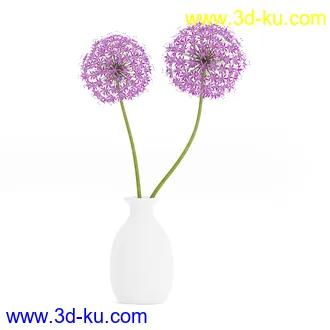 花卉模型,玫瑰花,木犀,蒲公英,桃花,菊花,向日葵,郁金香,六月雪,蛇床,土人参,瓜叶菊,蝴蝶兰,风信子,薰衣草,非洲菊等模型26个的图片17