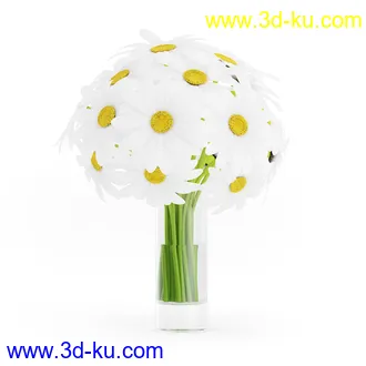 花卉模型,玫瑰花,木犀,蒲公英,桃花,菊花,向日葵,郁金香,六月雪,蛇床,土人参,瓜叶菊,蝴蝶兰,风信子,薰衣草,非洲菊等模型26个的图片20