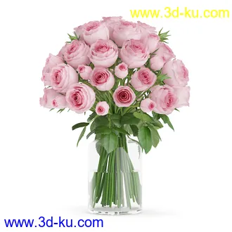 花卉模型,玫瑰花,木犀,蒲公英,桃花,菊花,向日葵,郁金香,六月雪,蛇床,土人参,瓜叶菊,蝴蝶兰,风信子,薰衣草,非洲菊等模型26个的图片23
