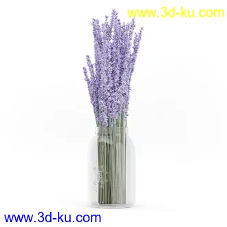 花卉模型,玫瑰花,木犀,蒲公英,桃花,菊花,向日葵,郁金香,六月雪,蛇床,土人参,瓜叶菊,蝴蝶兰,风信子,薰衣草,非洲菊等模型26个的图片26