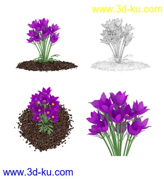 枫树模型,花草,花圃,大花葱,芦荟,肾蕨,天竺葵,玉簪,火炬花,蒲苇,七彩铁,向日葵,塔柏,铁线蕨,吊兰,番红花等各类花模型31个的图片1