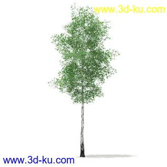 植物模型合集,树木模型,各类树木模型共51个的图片