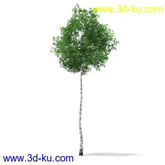 植物模型合集,树木模型,各类树木模型共51个的图片