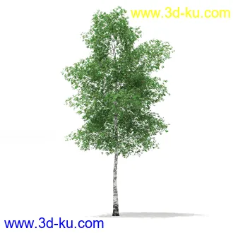 植物模型合集,树木模型,各类树木模型共51个的图片12