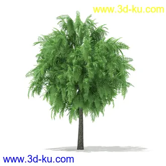 植物模型合集,树木模型,各类树木模型共51个的图片