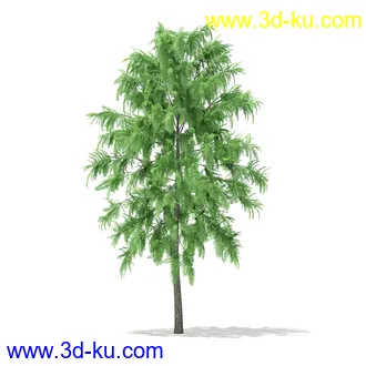 植物模型合集,树木模型,各类树木模型共51个的图片