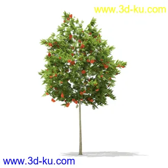 植物模型合集,树木模型,各类树木模型共51个的图片