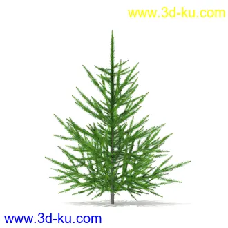 树木模型合集,各种树模型共41个的图片