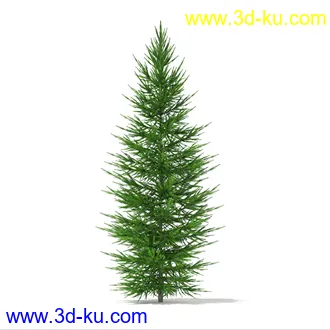 树木模型合集,各种树模型共41个的图片