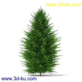 树木模型合集,各种树模型共41个的图片