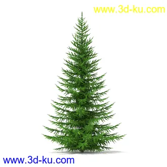 树木模型合集,各种树模型共41个的图片