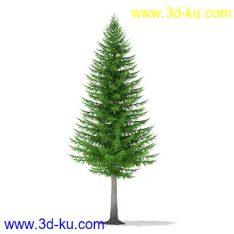 树木模型合集,各种树模型共41个的图片