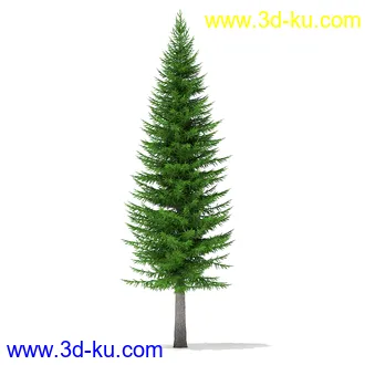 树木模型合集,各种树模型共41个的图片