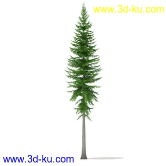 树木模型合集,各种树模型共41个的图片