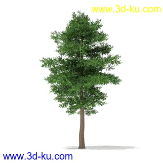 树木模型合集,各种树模型共41个的图片