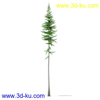 树木模型合集,各种树模型共41个的图片