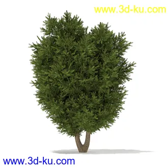 树木模型合集,各种树模型共41个的图片