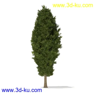 树木模型合集,各种树模型共41个的图片