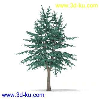 树木模型合集,各种树模型共41个的图片