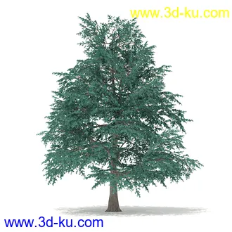 树木模型合集,各种树模型共41个的图片