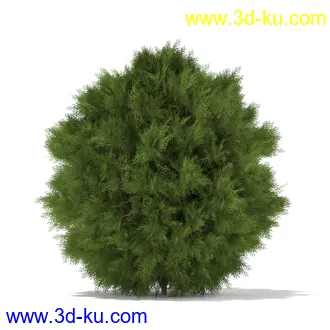 树木模型合集,各种树模型共41个的图片