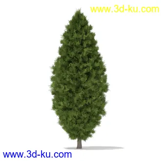 树木模型合集,各种树模型共41个的图片