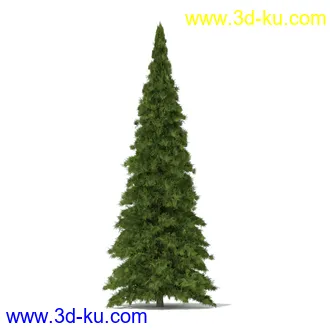 树木模型合集,各种树模型共41个的图片