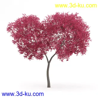 树木模型合集,各类树木模型共32个的图片