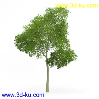 树木模型合集,各类树木模型共32个的图片