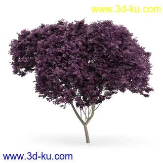 树木模型合集,各类树木模型共32个的图片