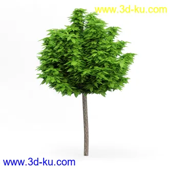 树木模型合集,各类树木模型共32个的图片