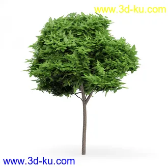 树木模型合集,各类树木模型共32个的图片