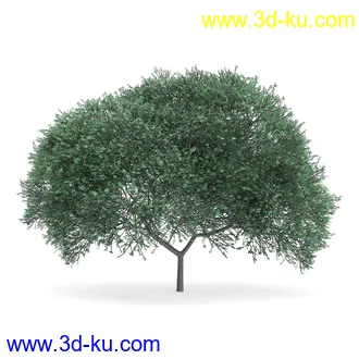 树木模型合集,各类树木模型共32个的图片