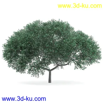 树木模型合集,各类树木模型共32个的图片