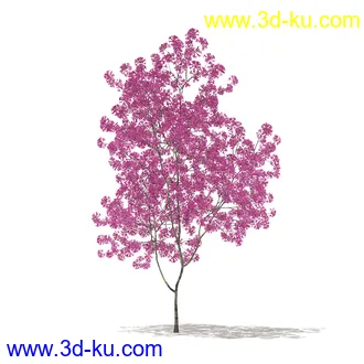 树模型合集,各类树木模型共32个的图片