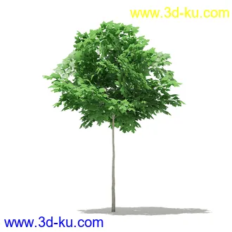 树模型合集,各类树木模型共32个的图片