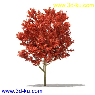 树模型合集,各类树木模型共32个的图片