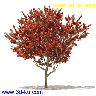 树模型合集,各类树木模型共32个的图片
