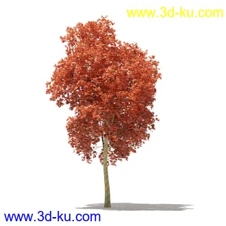 树模型合集,各类树木模型共32个的图片