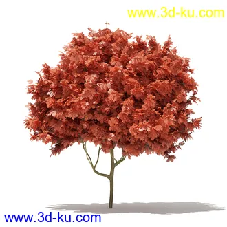 树模型合集,各类树木模型共32个的图片