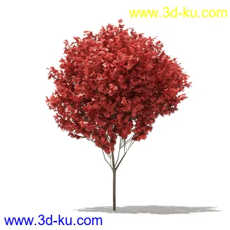 树模型合集,各类树木模型共32个的图片