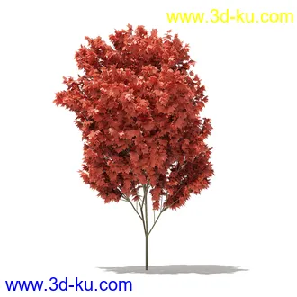 树模型合集,各类树木模型共32个的图片