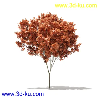 树模型合集,各类树木模型共32个的图片