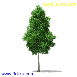 树模型合集,各类树木模型共32个的图片