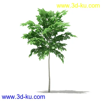 树模型合集,各类树木模型共32个的图片