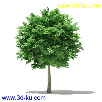 树模型合集,各类树木模型共32个的图片