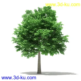 树模型合集,各类树木模型共32个的图片