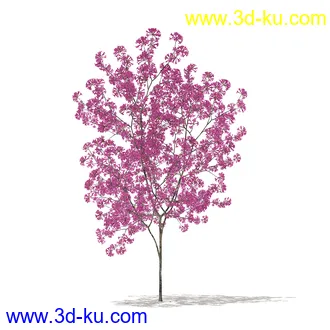 树模型合集,各类树木模型共32个的图片