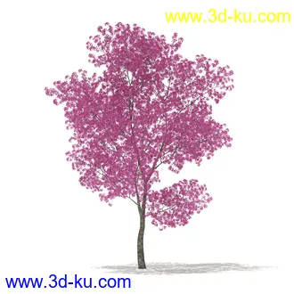 树模型合集,各类树木模型共32个的图片