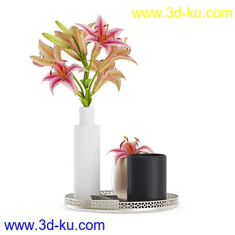 装饰品,木制装饰品,画,花瓶,木架,盆景,树根,墙壁柜等室内装饰模型21个的图片